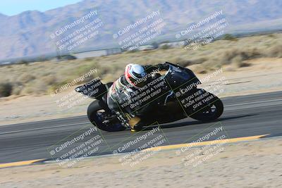 media/Feb-03-2024-SoCal Trackdays (Sat) [[767c60a41c]]/6- Turn 16 Inside Speed Pans (11am)/